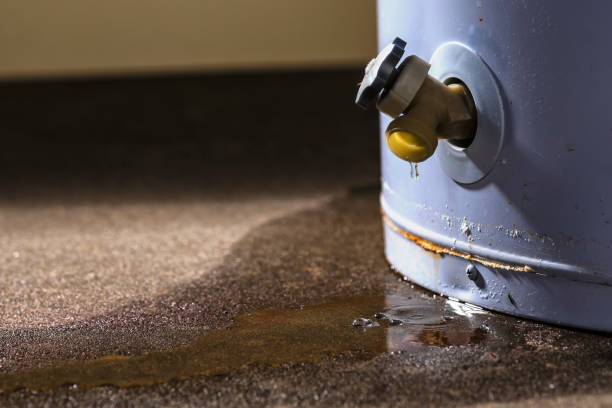 Best Flood damage cleanup  in Gwinn, MI