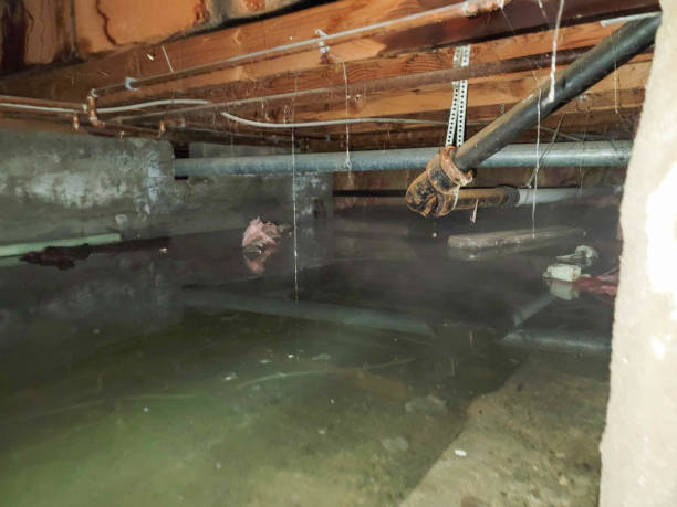 Best Water damage restoration near me  in Gwinn, MI