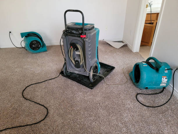 Best Water damage restoration mold remediation  in Gwinn, MI