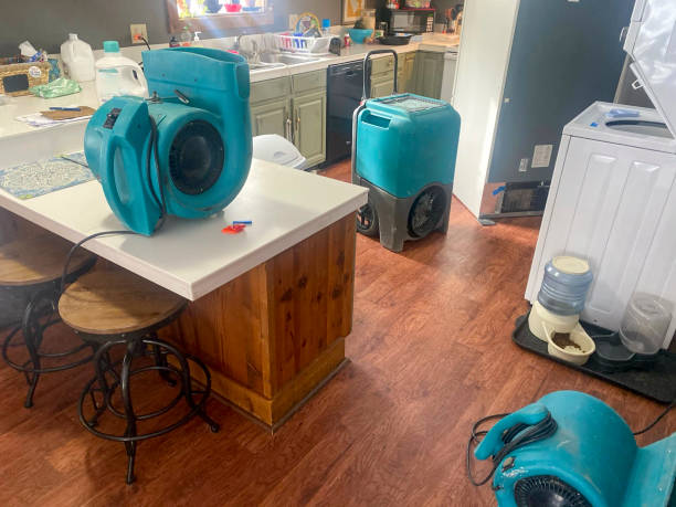 Best Professional water damage repair  in Gwinn, MI