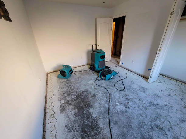 Best Fire Damage Restoration  in Gwinn, MI