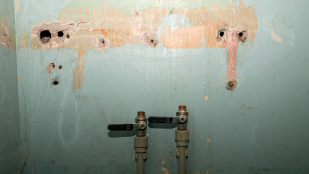 Best Carpet water damage restoration  in Gwinn, MI