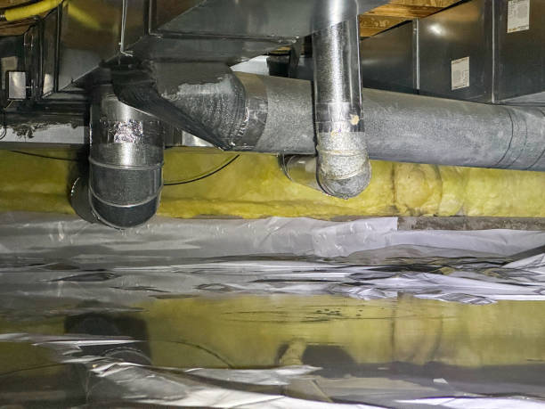 Best Basement water damage restoration  in Gwinn, MI
