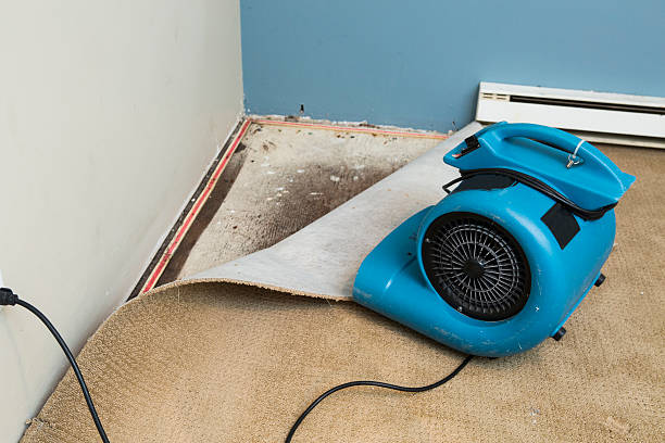 Best Residential water damage restoration  in Gwinn, MI