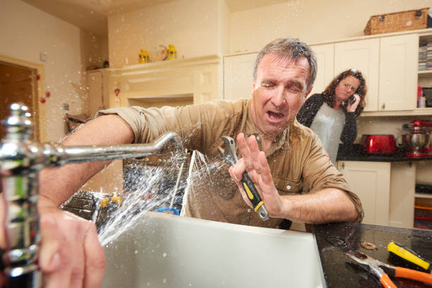 Best Flooded house restoration  in Gwinn, MI